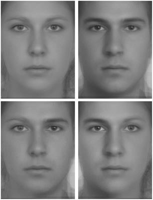 Modifications of Visual Field Asymmetries for Face Categorization in Early Deaf Adults: A Study With Chimeric Faces